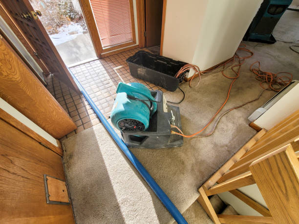 Best Water damage restoration cost  in Pennsboro, WV