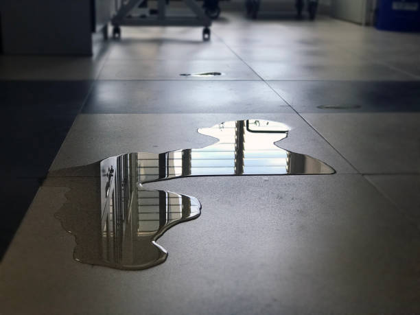 Best Commercial water damage restoration  in Pennsboro, WV