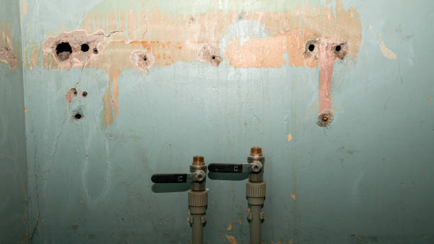 Best Mold removal after water damage  in Pennsboro, WV