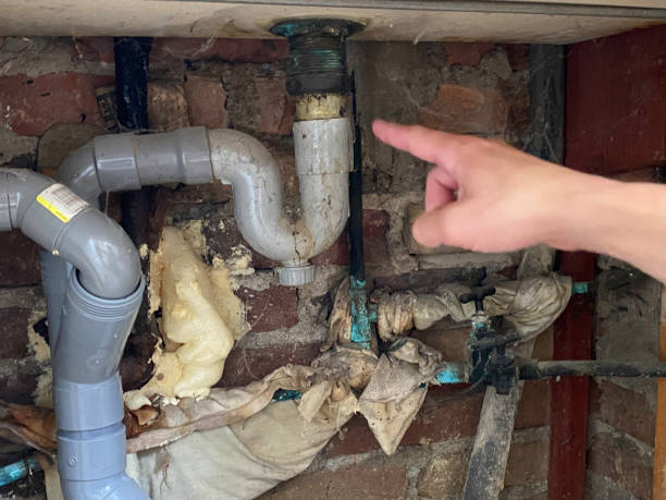 Best Local water damage restoration  in Pennsboro, WV