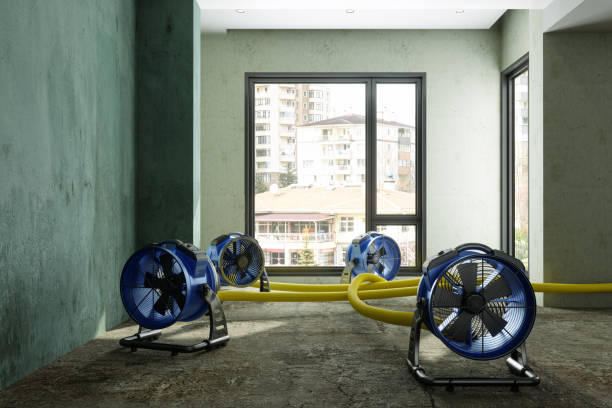 Best Sewage cleanup and water damage restoration  in Pennsboro, WV